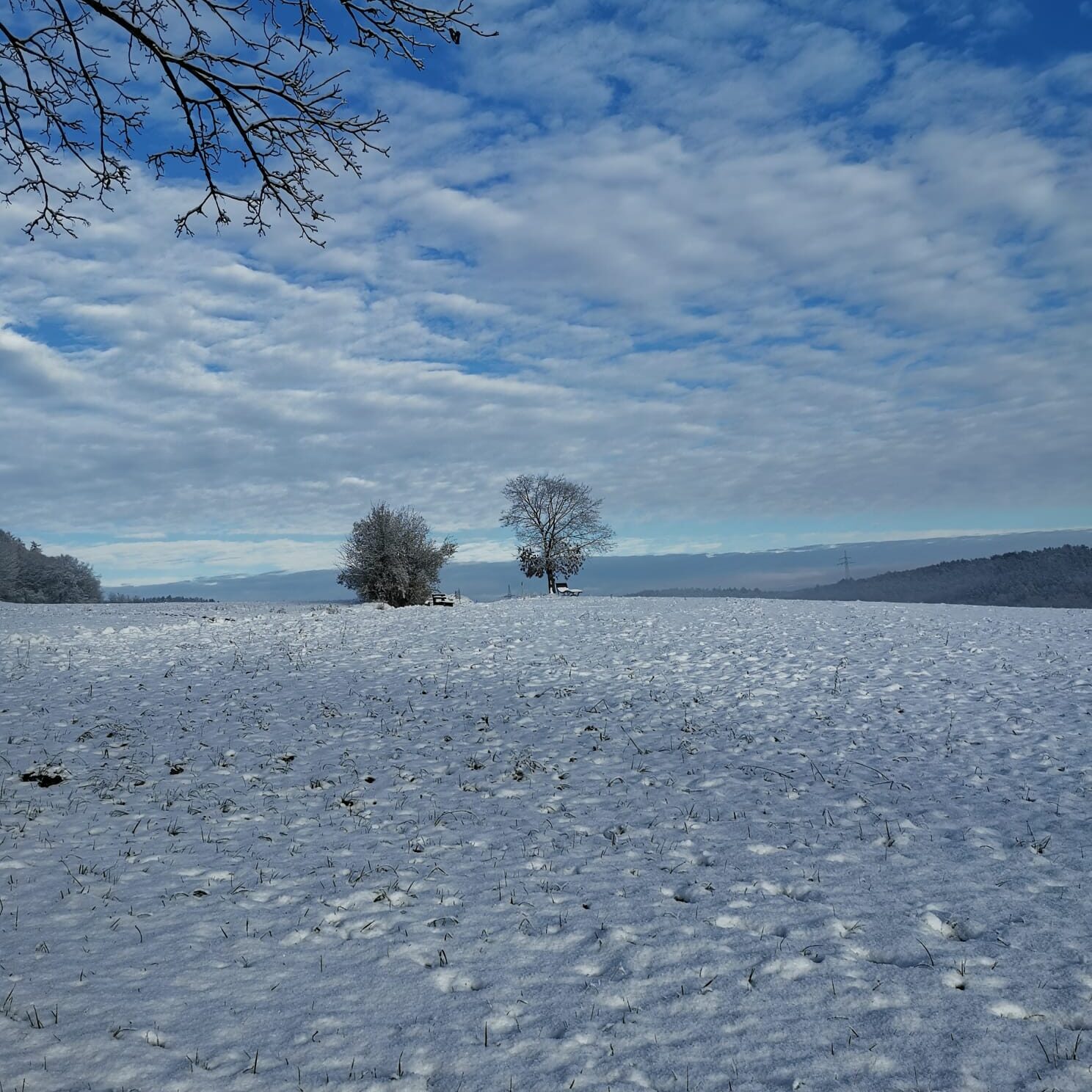 Casa Rockstein - Winterwelt im Odenwald