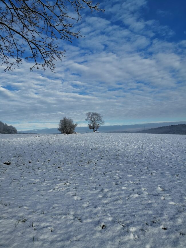 Casa Rockstein - Winterwelt im Odenwald