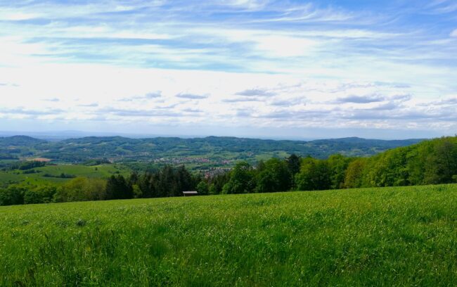 Casa Rockstein - Odenwald